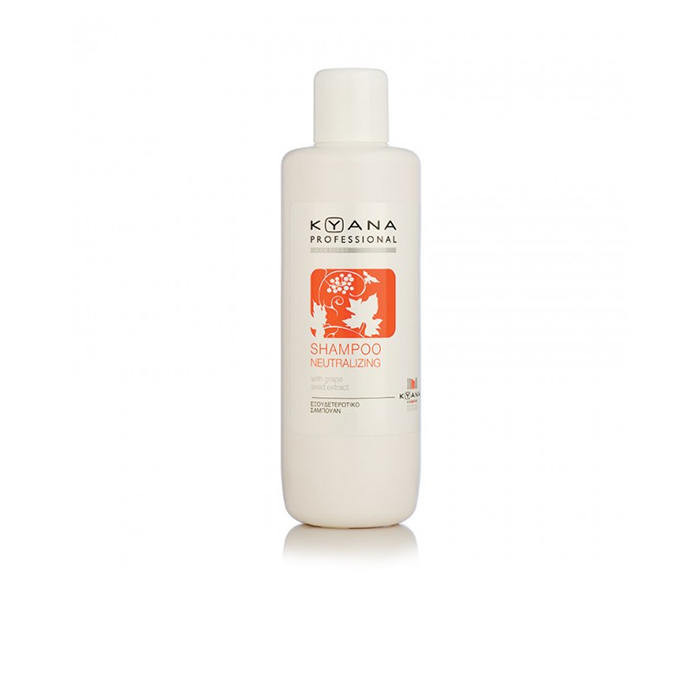 salon-series-shampoo-teknik-islemler-sonrasi-arindirici-sampuan-1000ml